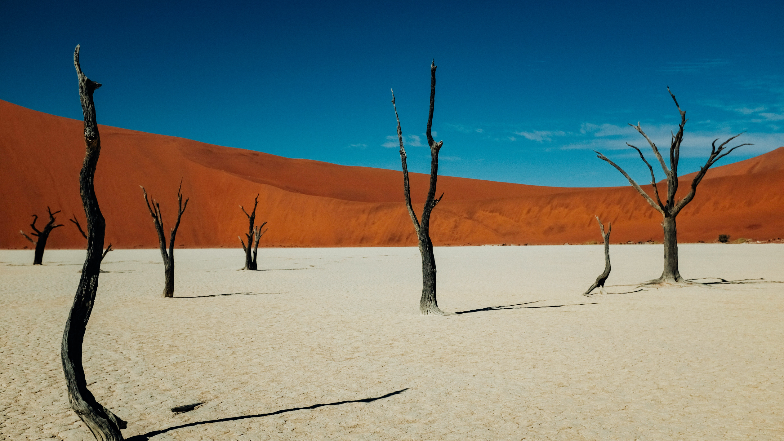 Gay Namibia Reise ©Unsplash 1